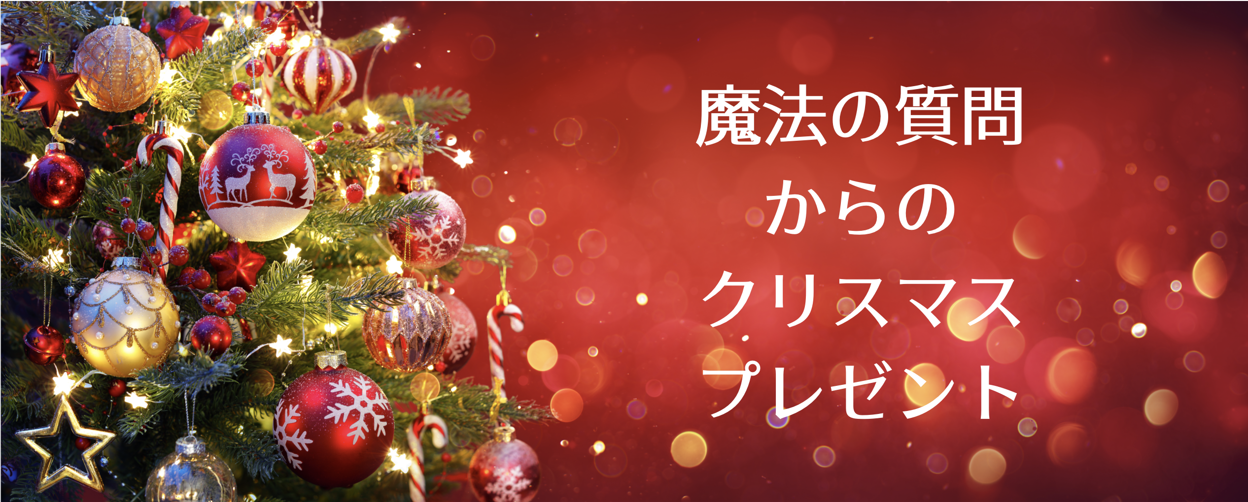 スクリーンショット 2019-12-20 16.45.33