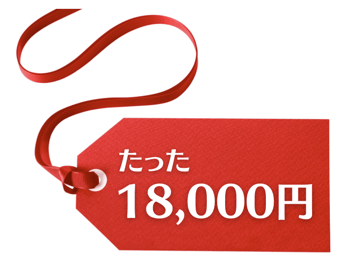 スクリーンショット 2022-03-13 15.08.29