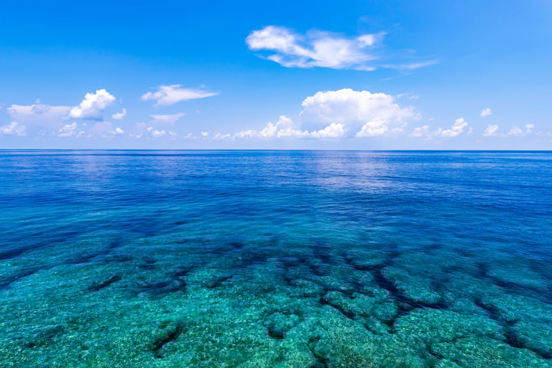 AdobeStock_161695347