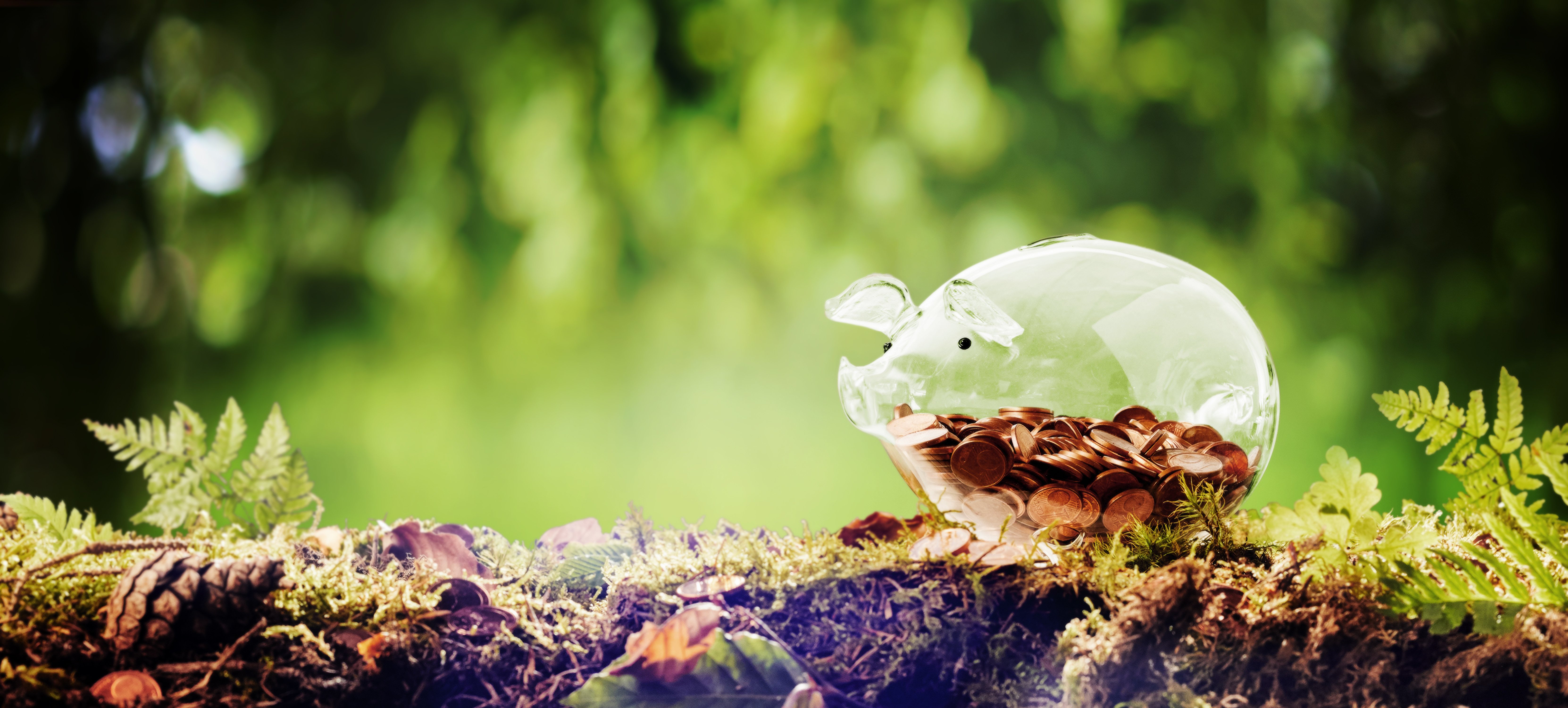 AdobeStock_163285022
